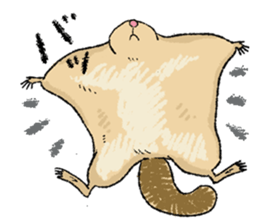 Fiyng squirrel and nocturnal animals sticker #7887937
