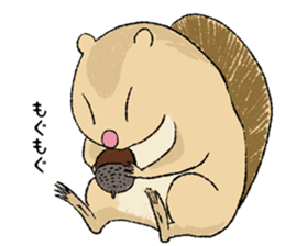 Fiyng squirrel and nocturnal animals sticker #7887940