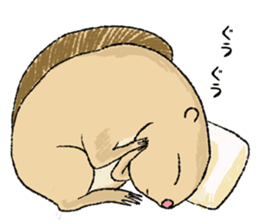 Fiyng squirrel and nocturnal animals sticker #7887941