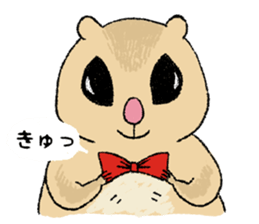 Fiyng squirrel and nocturnal animals sticker #7887942