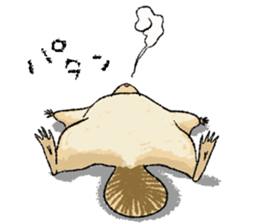 Fiyng squirrel and nocturnal animals sticker #7887943