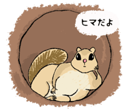 Fiyng squirrel and nocturnal animals sticker #7887944