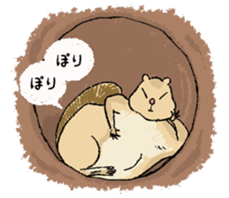Fiyng squirrel and nocturnal animals sticker #7887945
