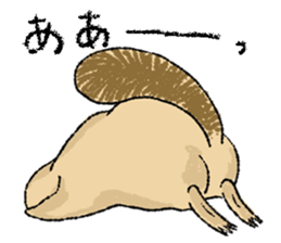 Fiyng squirrel and nocturnal animals sticker #7887947