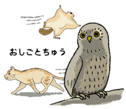 Fiyng squirrel and nocturnal animals sticker #7887948