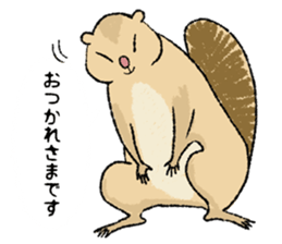 Fiyng squirrel and nocturnal animals sticker #7887949