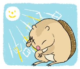 Fiyng squirrel and nocturnal animals sticker #7887950