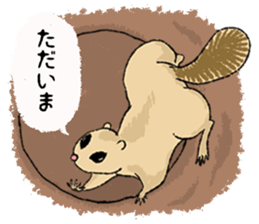 Fiyng squirrel and nocturnal animals sticker #7887951