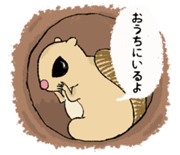 Fiyng squirrel and nocturnal animals sticker #7887952