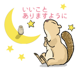 Fiyng squirrel and nocturnal animals sticker #7887953