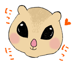 Fiyng squirrel and nocturnal animals sticker #7887955