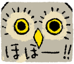 Fiyng squirrel and nocturnal animals sticker #7887957