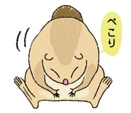 Fiyng squirrel and nocturnal animals sticker #7887962