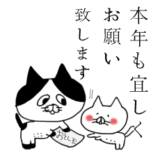 uzakawa drooping eyes cat3