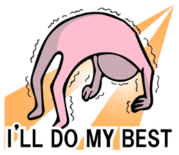 THE PINKS 2 sticker #7890573