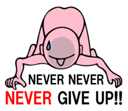 THE PINKS 2 sticker #7890578