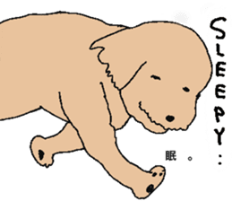 be kind to animals sticker #7891245