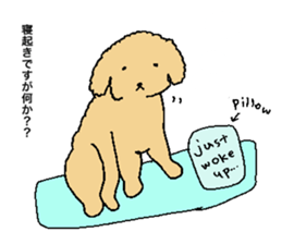 be kind to animals sticker #7891248