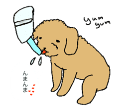 be kind to animals sticker #7891250