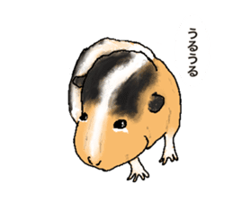 be kind to animals sticker #7891252