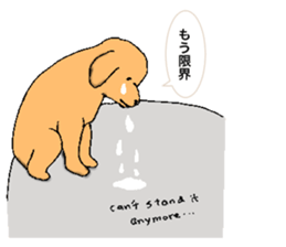 be kind to animals sticker #7891262