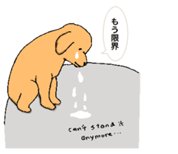 be kind to animals sticker #7891262