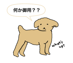 be kind to animals sticker #7891271