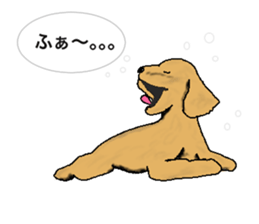 be kind to animals sticker #7891277