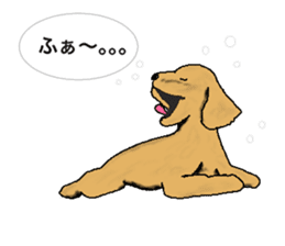 be kind to animals sticker #7891277