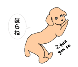 be kind to animals sticker #7891281