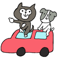 This is not a cat, it is a dog