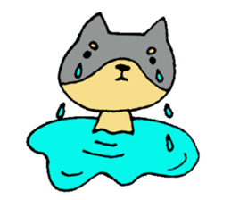 This is not a cat, it is a dog sticker #7891417