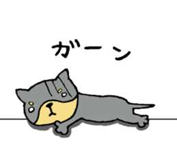 This is not a cat, it is a dog sticker #7891441