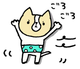 This is not a cat, it is a dog sticker #7891443