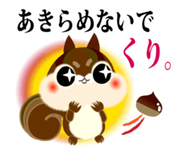 The squirrel which does every request. sticker #7891778