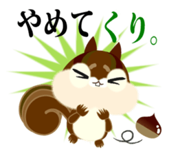 The squirrel which does every request. sticker #7891795