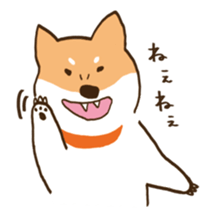 Japanese Shiba inu KEN sticker #7891925