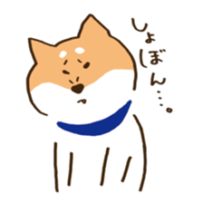 Japanese Shiba inu KEN sticker #7891926