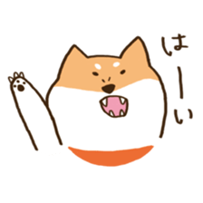 Japanese Shiba inu KEN sticker #7891928