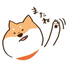 Japanese Shiba inu KEN sticker #7891939