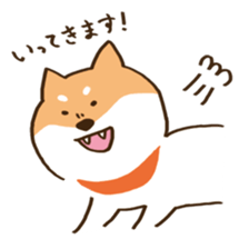 Japanese Shiba inu KEN sticker #7891940