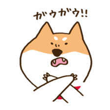 Japanese Shiba inu KEN sticker #7891951