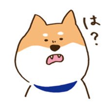Japanese Shiba inu KEN sticker #7891956