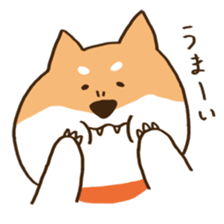Japanese Shiba inu KEN sticker #7891958