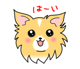 WAN Co.2 sticker #7893325