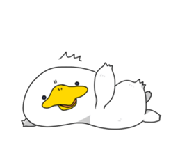 Duck mock sticker #7895124