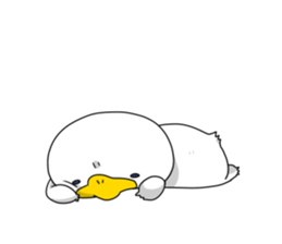 Duck mock sticker #7895125