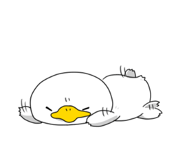 Duck mock sticker #7895126