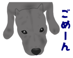 Dog "ESU" 4th ver. <gray> sticker #7895495