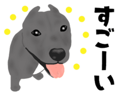 Dog "ESU" 4th ver. <gray> sticker #7895506